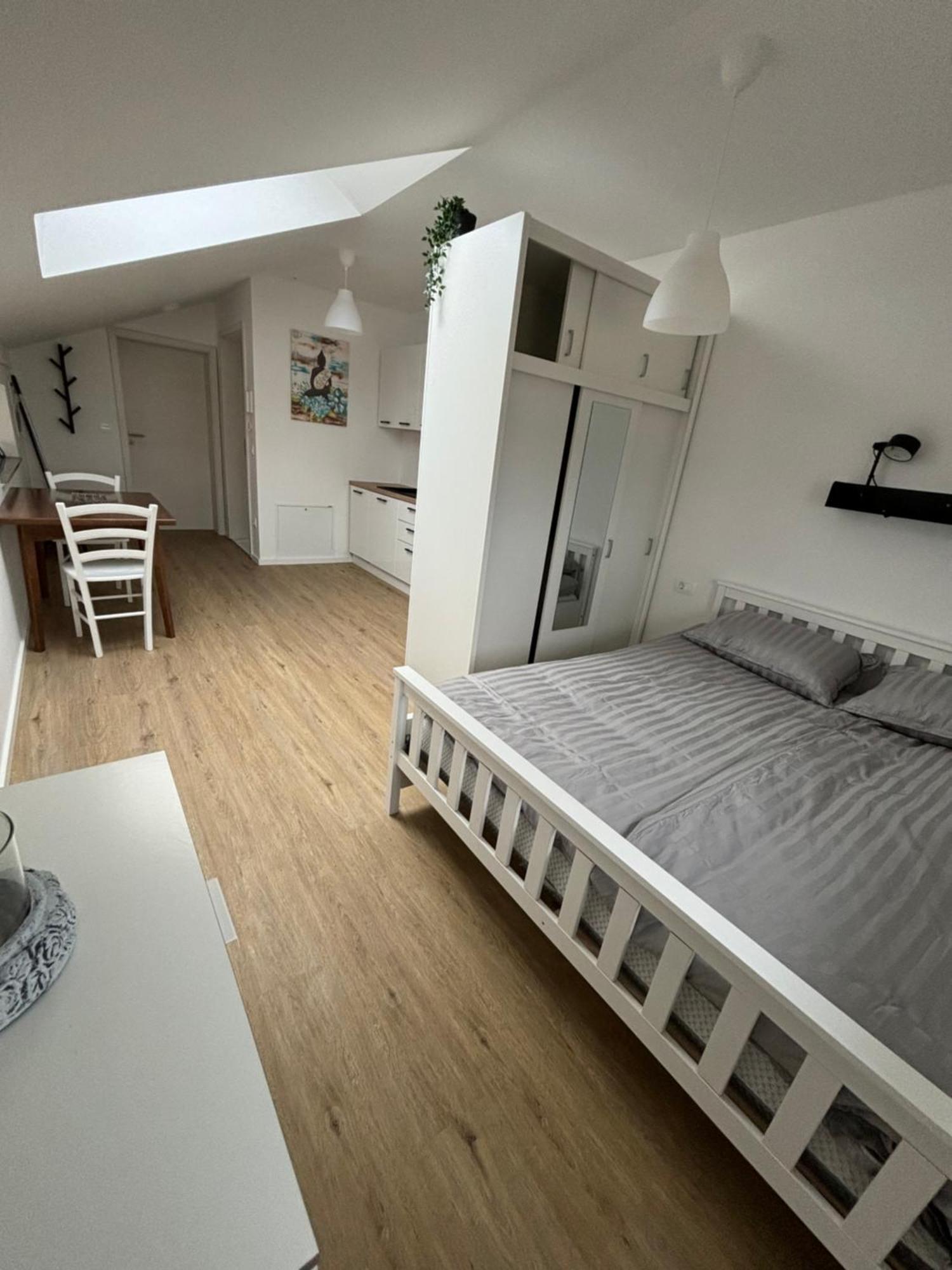 Apartmaji Cepon リュブリャナ エクステリア 写真